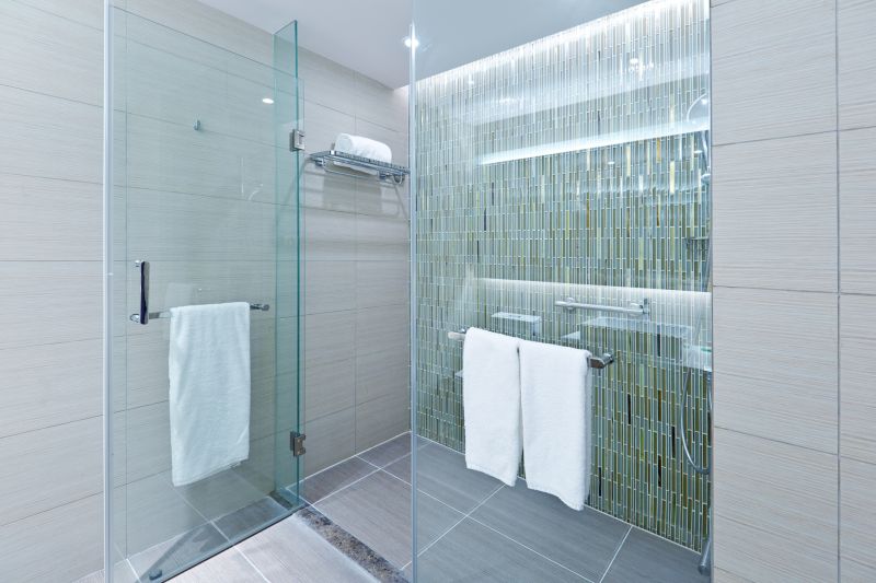Frameless Glass Shower Doors